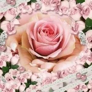 Meet your Posher, Pamela